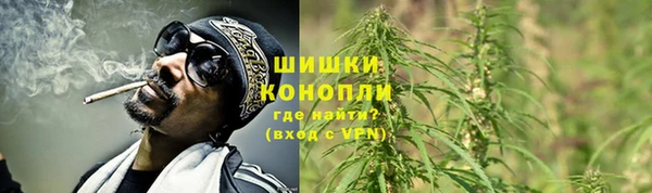 ешки Новозыбков
