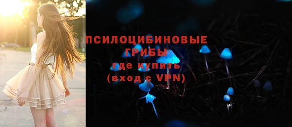стафф Нефтекумск