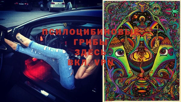 a pvp Новокубанск