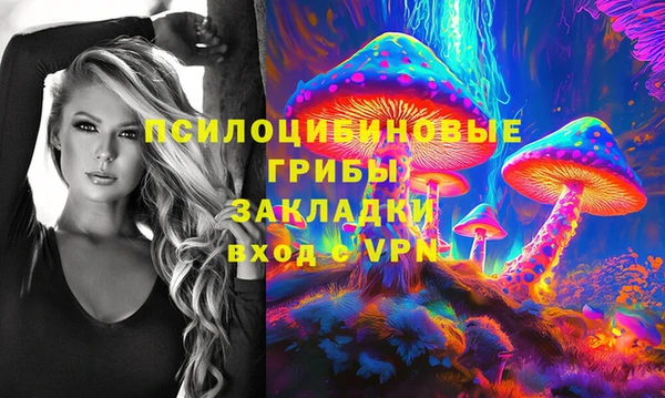 молекула духа Нея